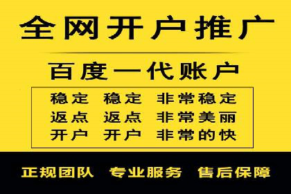 某电商平台的SEM策略与效果展示